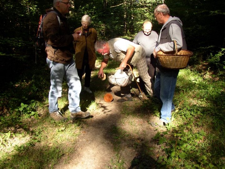 2011 07  Myco bois des Plainvaux 18